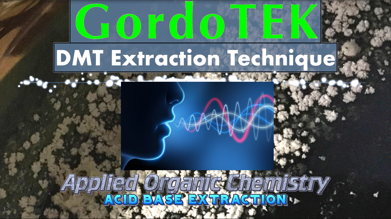 GordoTEK DMT Extraction